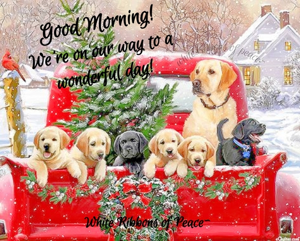 10 Good Morning Quote Pictures To Make The Day A Beautiful One - picture 7