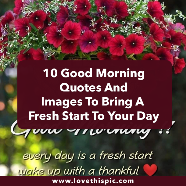 10 Good Morning Quotes And Images To Have A Fresh Start To Your Day
