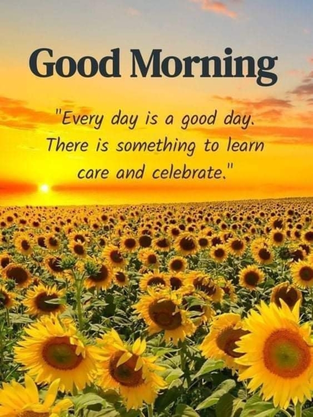 10 Good Morning Quotes And Images To Have A Fresh Start To Your Day - picture 10