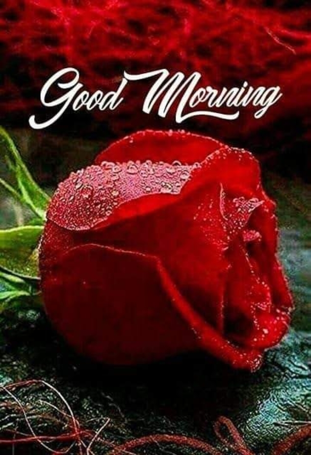 10 Good Morning Quotes And Images To Have A Fresh Start To Your Day - picture 11