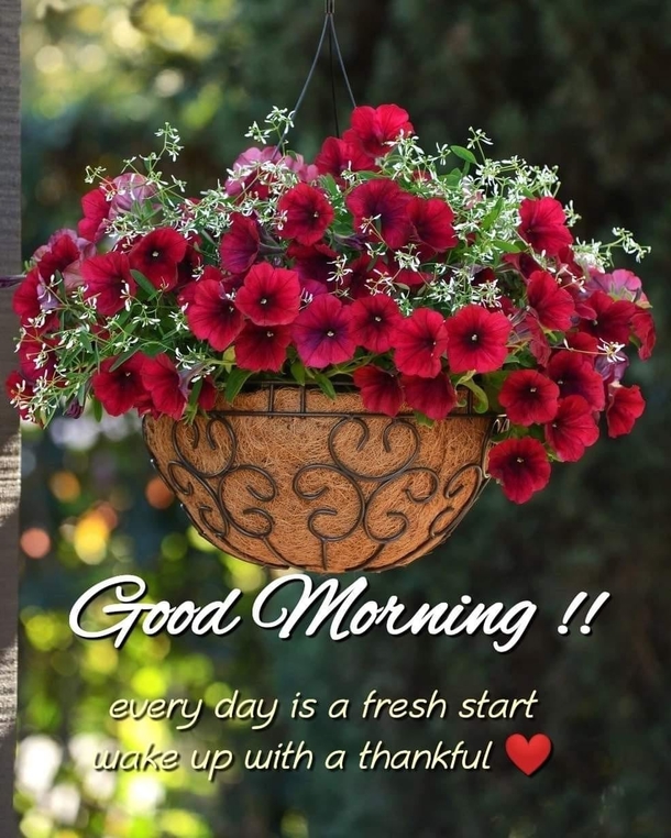 10 Good Morning Quotes And Images To Have A Fresh Start To Your Day - picture 2