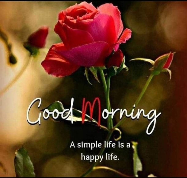10 Good Morning Quotes And Images To Have A Fresh Start To Your Day - picture 4