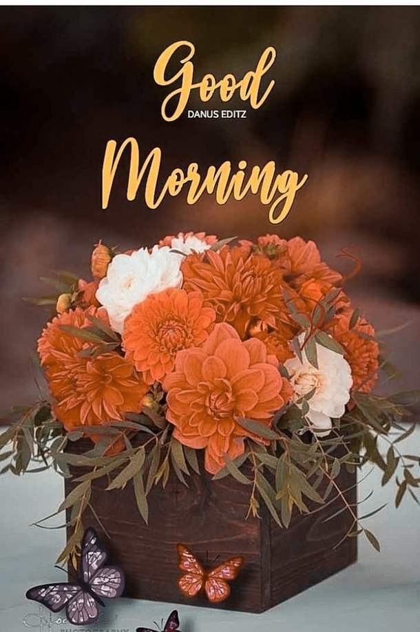10 Good Morning Quotes And Images To Have A Fresh Start To Your Day - picture 5