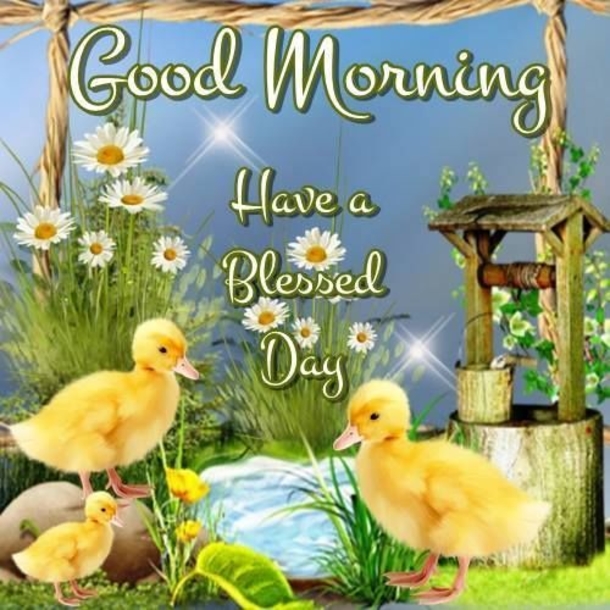 10 Good Morning Quotes For 2023 That Are Filled With Blessings - picture 12