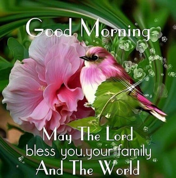 10 Good Morning Quotes For 2023 That Are Filled With Blessings - picture 8