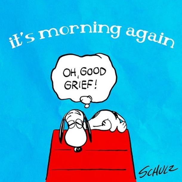 10 Good Morning Quotes For A Brand New Day - picture 5