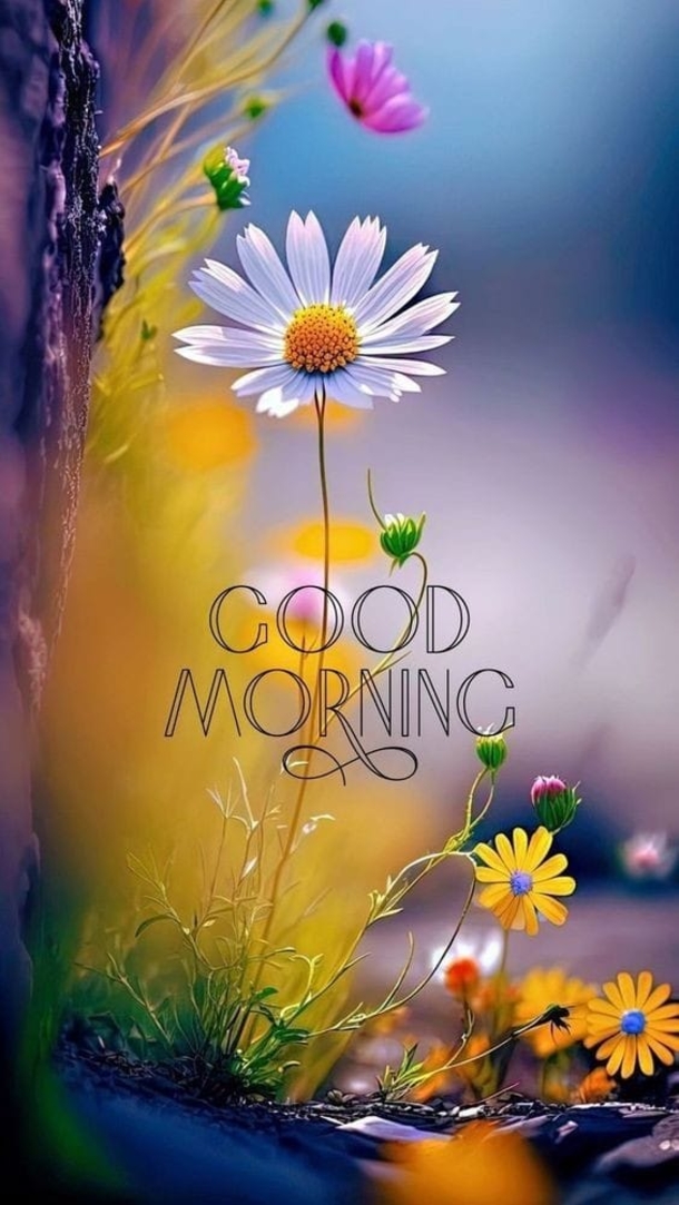 10 Good Morning Quotes Of 2024 To Embrace A Beautiful Season - picture 2