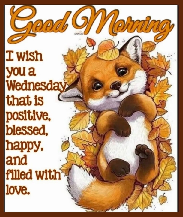 10 Good Morning Quotes That Will Make Your Week Special - picture 11