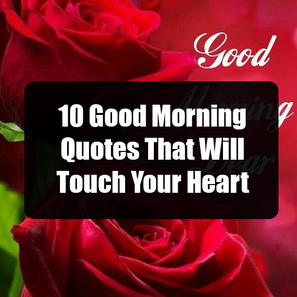 10 Good Morning Quotes That Will Touch Your Heart
