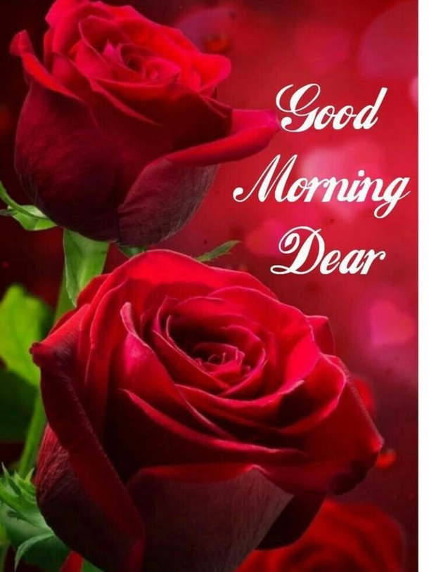 10 Good Morning Quotes That Will Touch Your Heart - picture 2