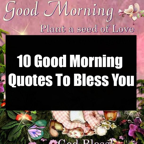 10 Good Morning Quotes To Bless You