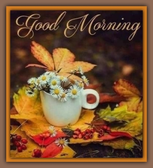 10 Good Morning Quotes To Bring Nothing But Joy And Beauty To Your Day - picture 10