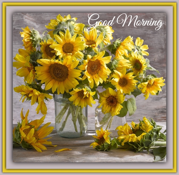 10 Good Morning Quotes To Bring Nothing But Joy And Beauty To Your Day - picture 11