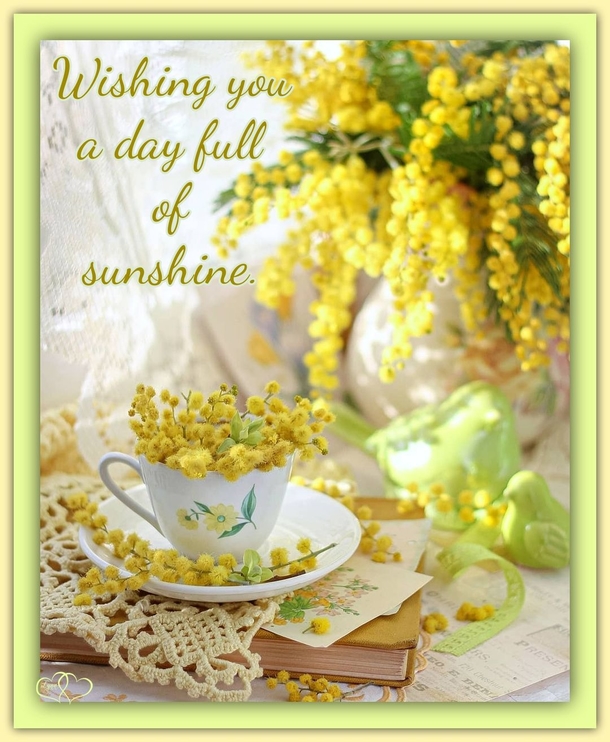 10 Good Morning Quotes To Bring Nothing But Joy And Beauty To Your Day - picture 2