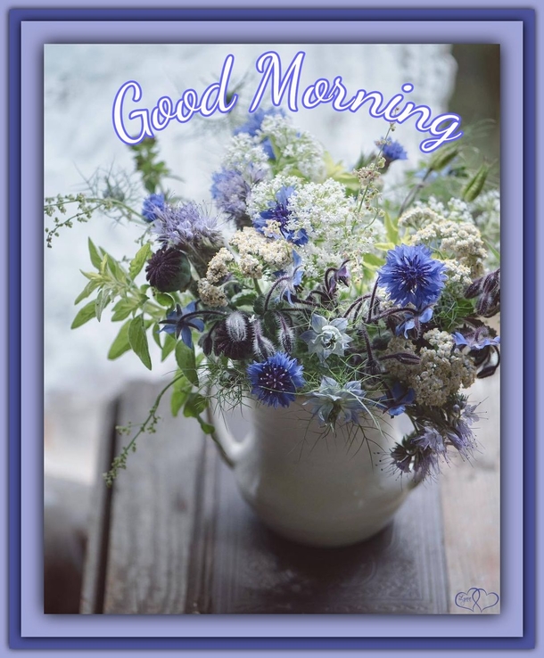 10 Good Morning Quotes To Bring Nothing But Joy And Beauty To Your Day - picture 4