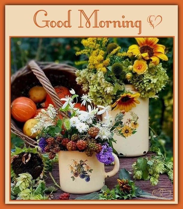 10 Good Morning Quotes To Bring Nothing But Joy And Beauty To Your Day - picture 6