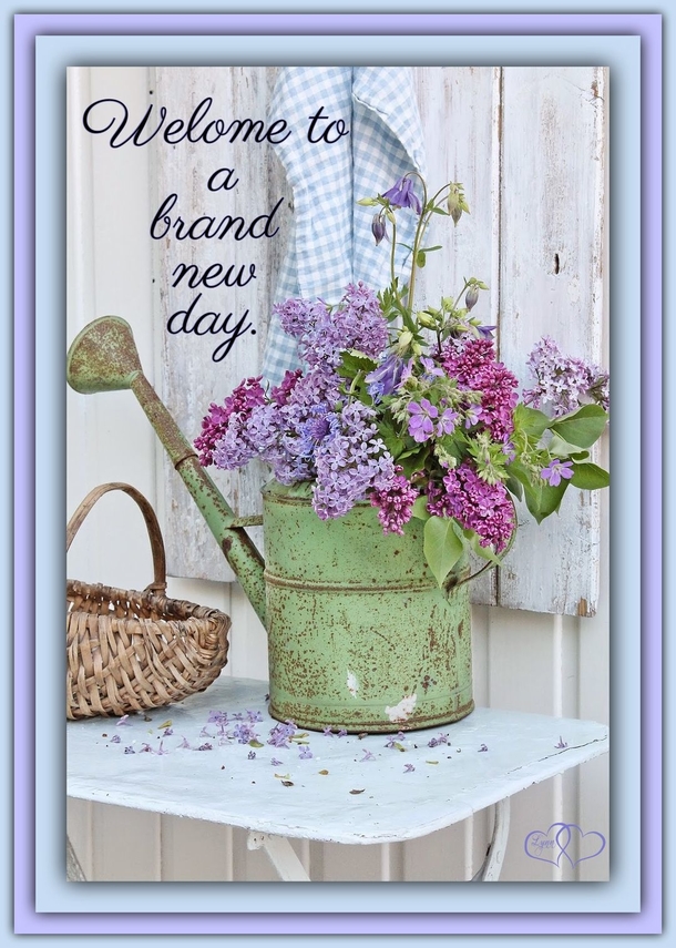 10 Good Morning Quotes To Bring Nothing But Joy And Beauty To Your Day - picture 7