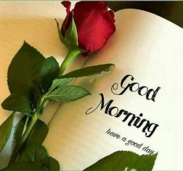 10 Good Morning Quotes To Bring Some Sunshine To Your Day - picture 8