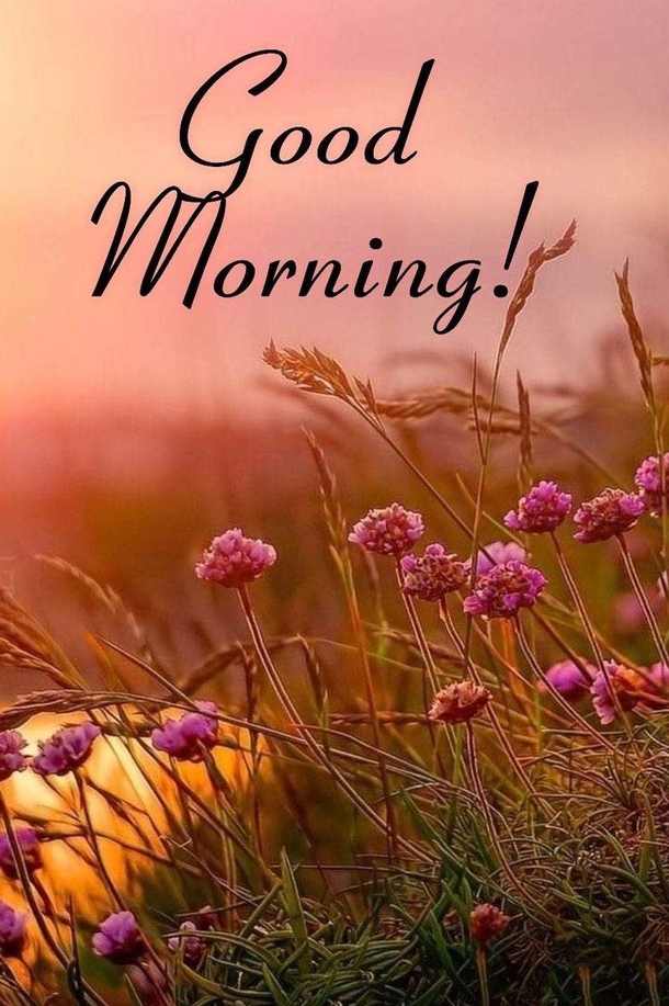 10 Good Morning Quotes To Fill Your Week With Blessings - picture 12