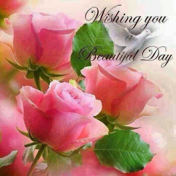 10 Good Morning Quotes To Greet Others With A Beautiful Day - picture 2