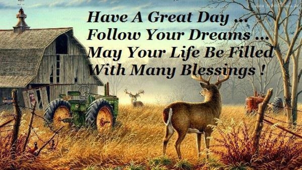 10 Good Morning Quotes To Greet Others With A Beautiful Day - picture 7