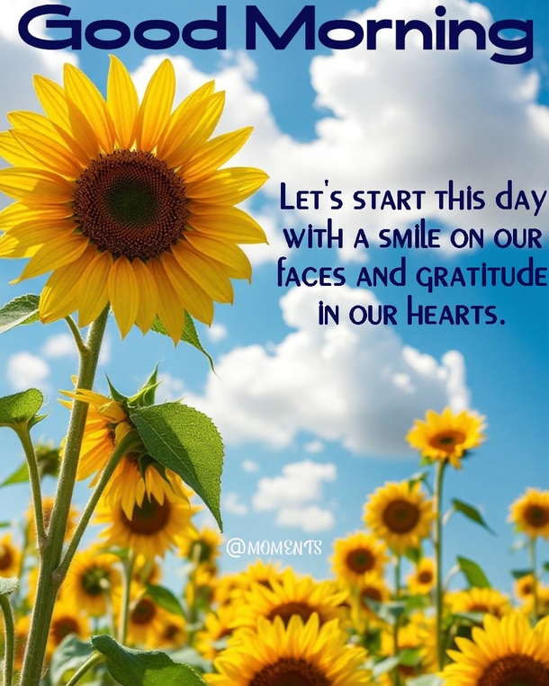 10 Good Morning Quotes to Make Every Morning Magical - picture 7