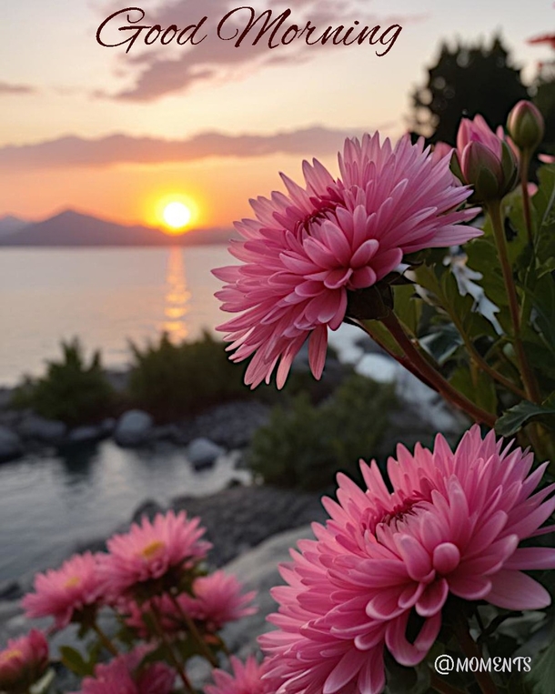 10 Good Morning Quotes to Make Every Morning Magical - picture 9