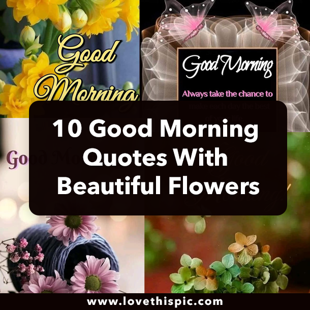 10 Good Morning Quotes With Beautiful Flowers