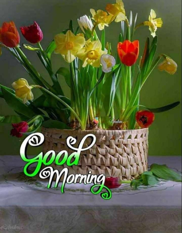 10 Good Morning Quotes With Beautiful Flowers - picture 10