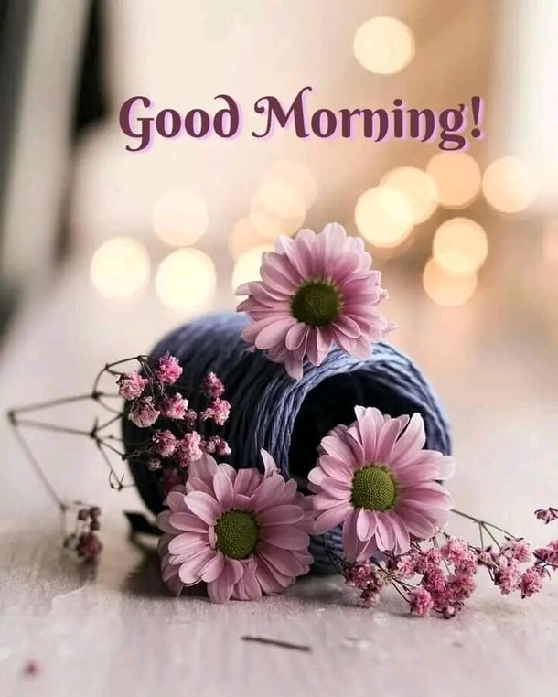 10 Good Morning Quotes With Beautiful Flowers - picture 2