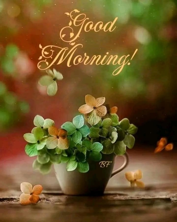 10 Good Morning Quotes With Beautiful Flowers - picture 3