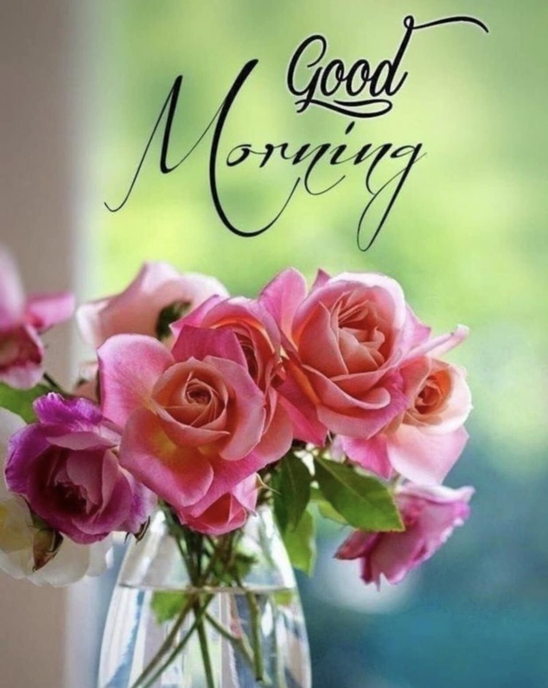 10 Good Morning Quotes With Beautiful Flowers - picture 8