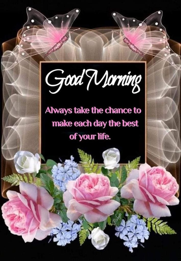 10 Good Morning Quotes With Beautiful Flowers - picture 9