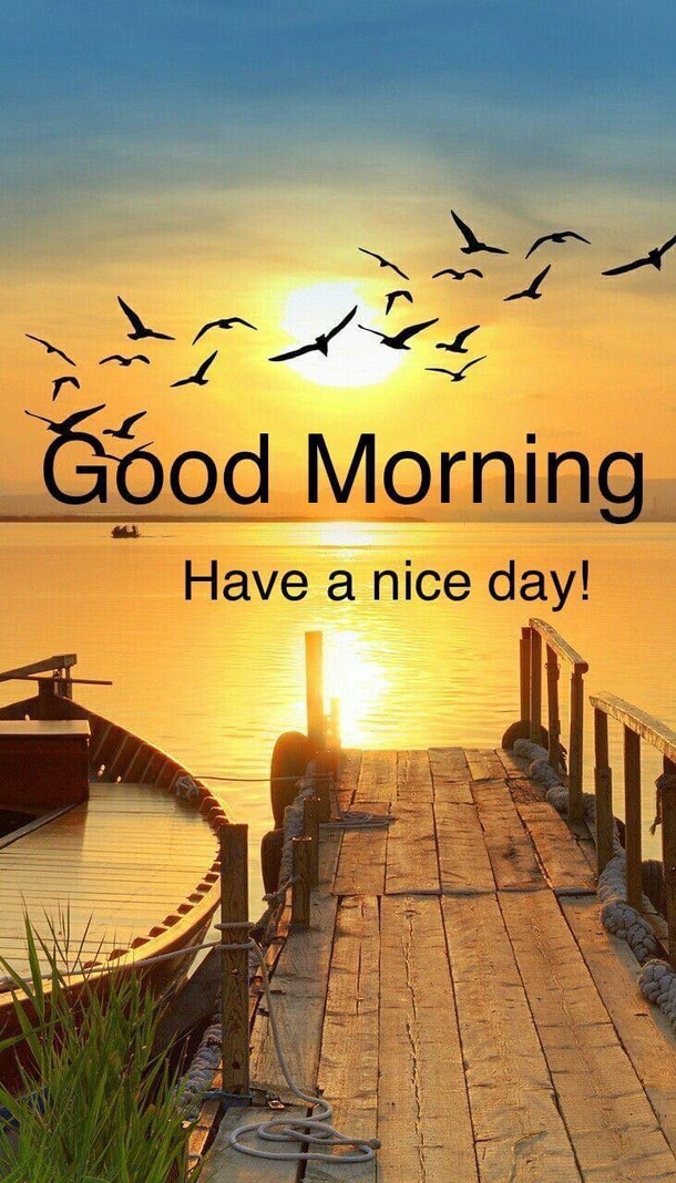 10 Good Morning Quotes With Beautiful Messages For A Great Morning - picture 4