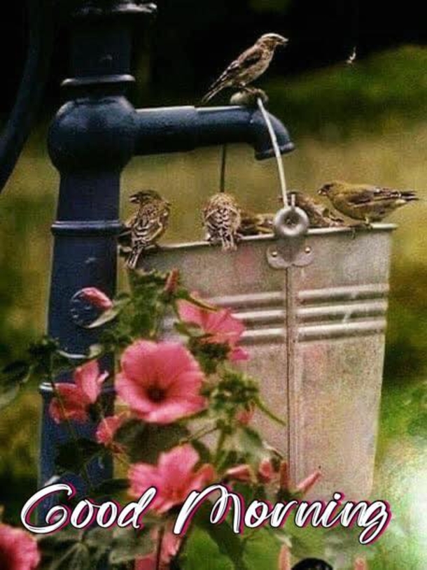 10 Good Morning Quotes With Beautiful Messages For A Great Morning - picture 7