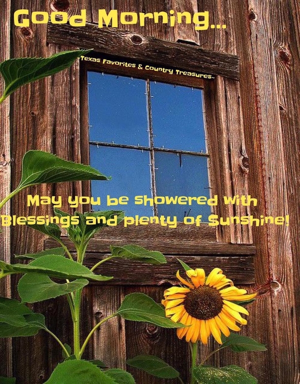 10 Good Morning Quotes With Beautiful Messages For A Great Morning - picture 8