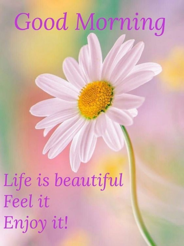 10 Good Morning Quotes With Motivation - picture 8