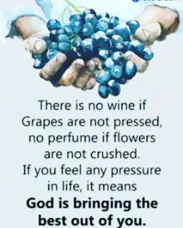 10 Good Morning Quotes With Motivation - picture 9
