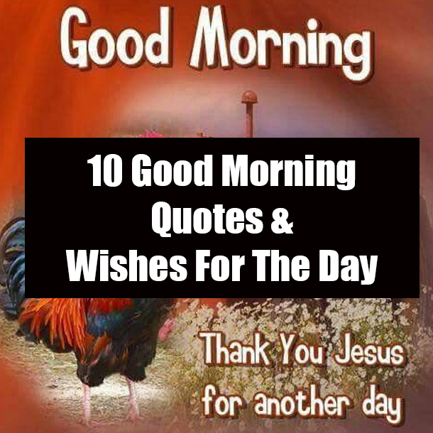 10 Good Morning Quotes & Wishes For The Day