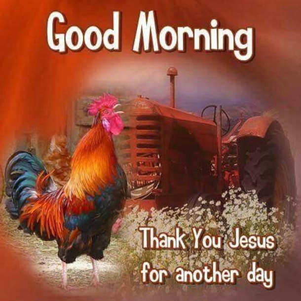 10 Good Morning Quotes & Wishes For The Day - picture 13