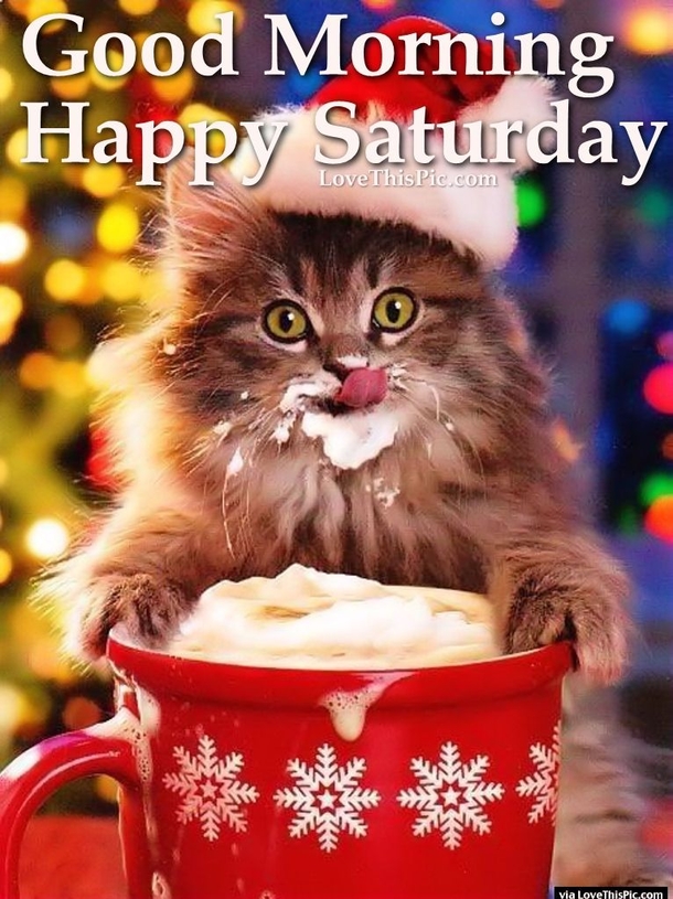 10 Good Morning Saturday Quotes - picture 2