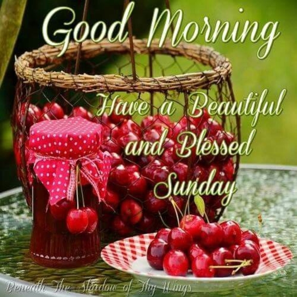 10 Good Morning Sunday Greetings For A Beautiful Day - picture 11