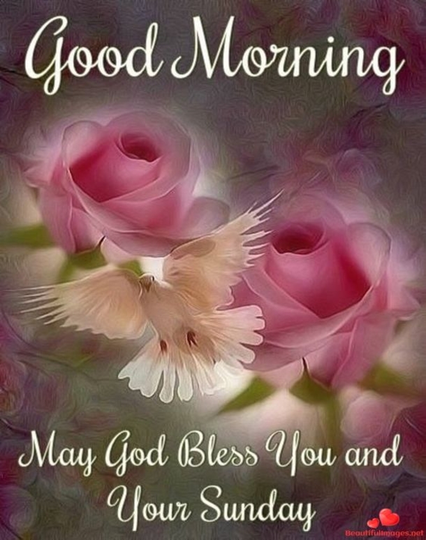10 Good Morning Sunday Greetings For A Beautiful Day - picture 3