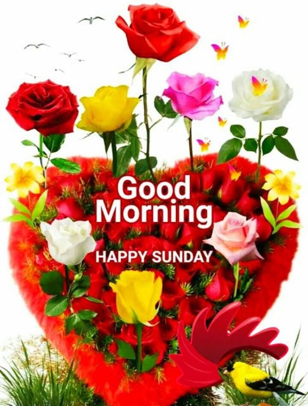 10 Good Morning Sunday Greetings For A Beautiful Day - picture 4