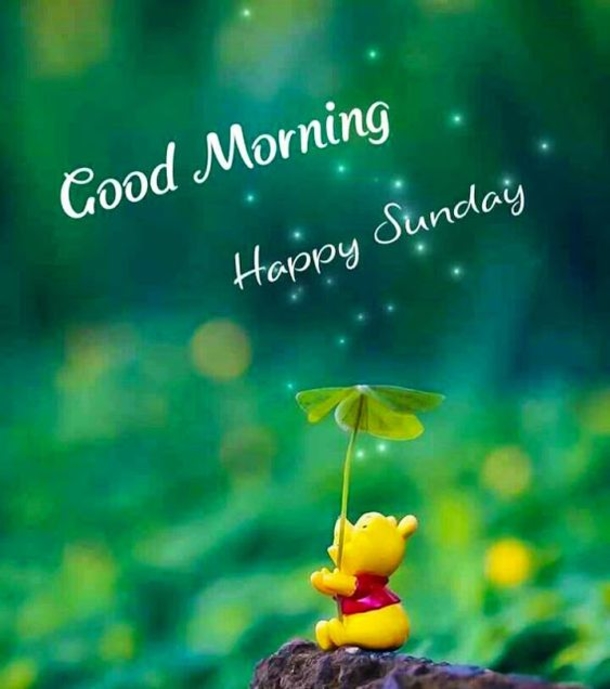 10 Good Morning Sunday Greetings For A Beautiful Day - picture 5