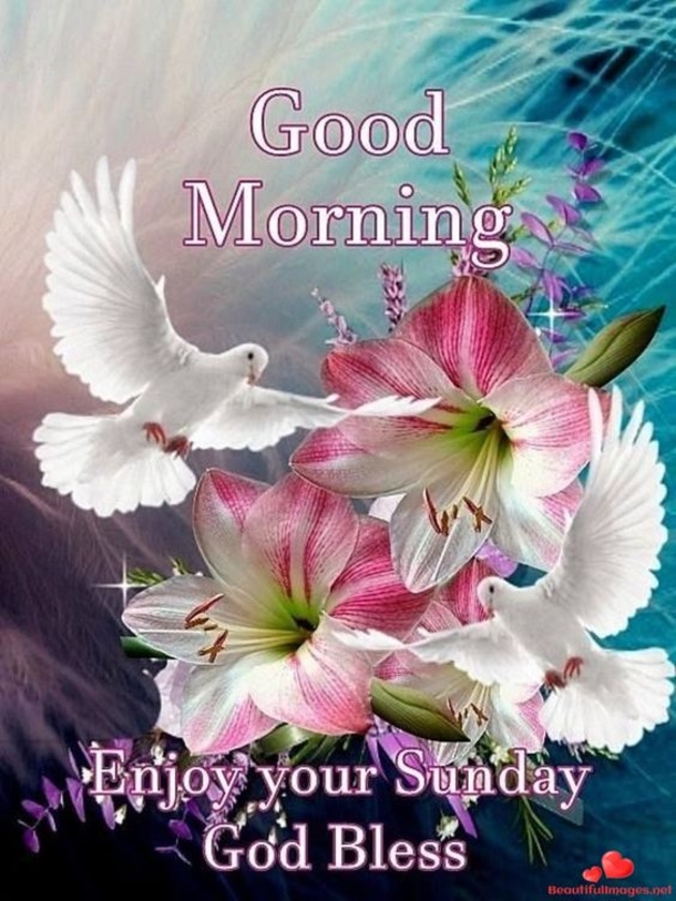 10 Good Morning Sunday Greetings For A Beautiful Day - picture 6