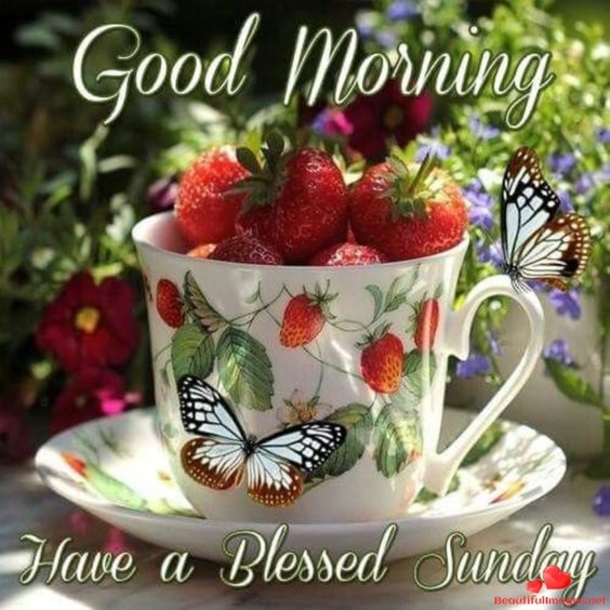 10 Good Morning Sunday Greetings For A Beautiful Day - picture 7