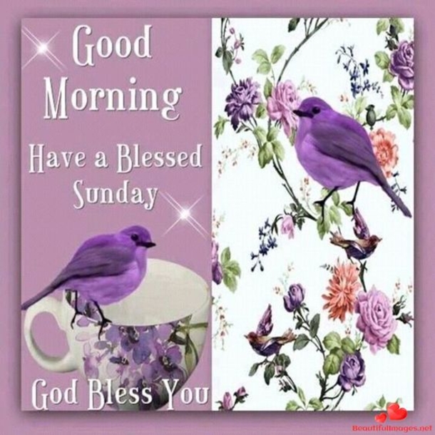10 Good Morning Sunday Greetings For A Beautiful Day - picture 9