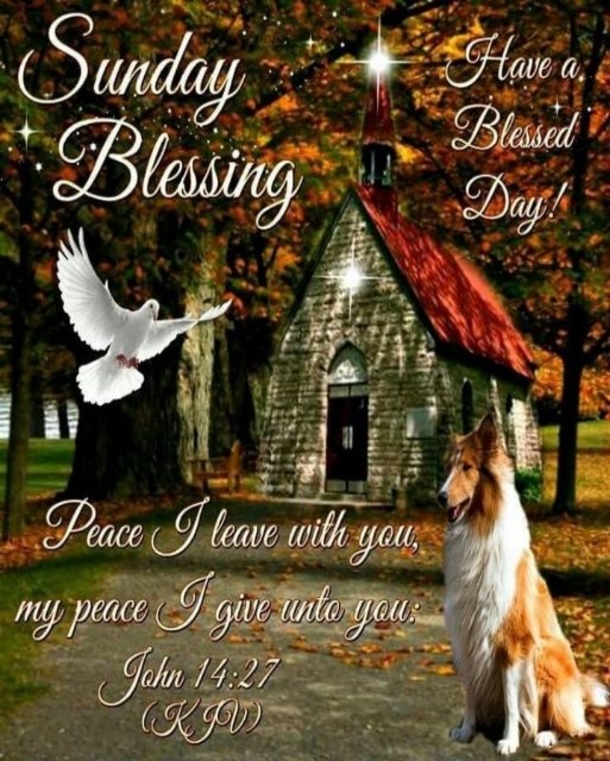 10 Good Morning Sunday Messages That Will Enrich Your Morning - picture 10