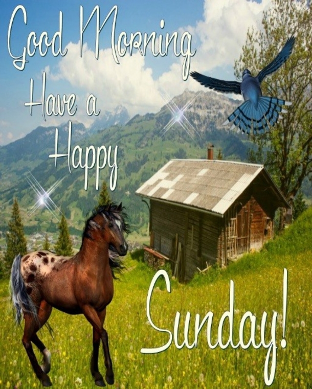 10 Good Morning Sunday Messages That Will Enrich Your Morning - picture 4